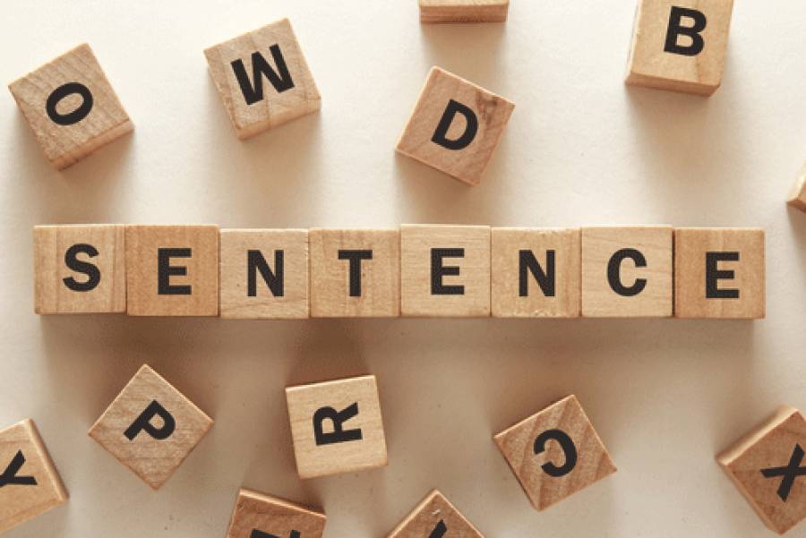 sentence, sentence example